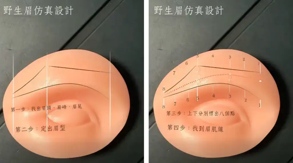 野生眉仿真設計