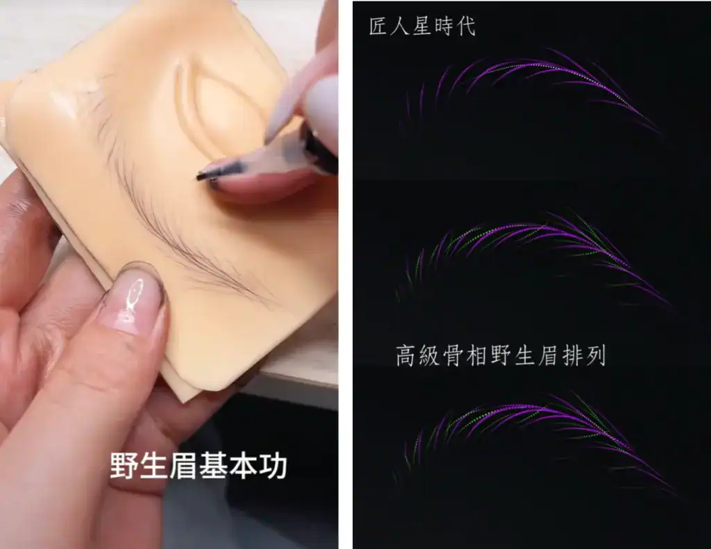 野生眉基本功