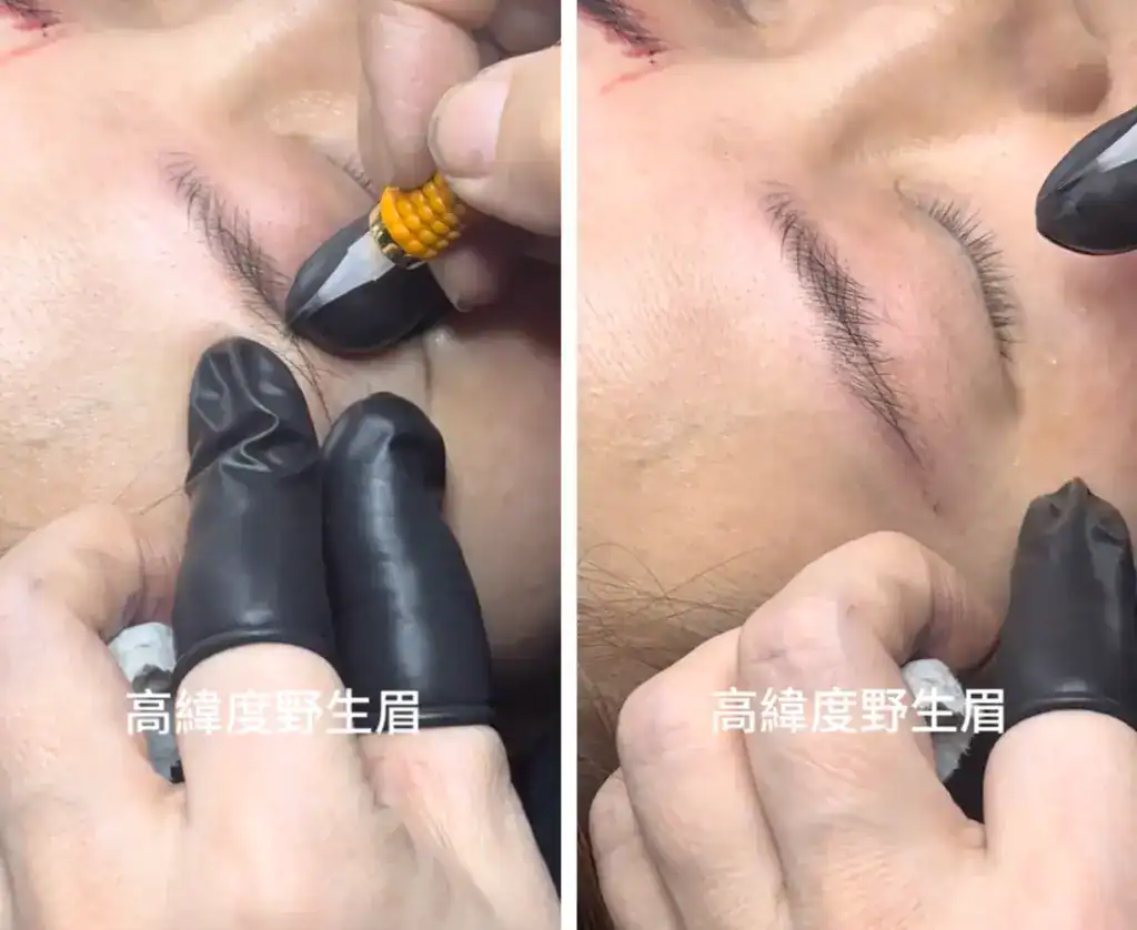 高緯度野生眉