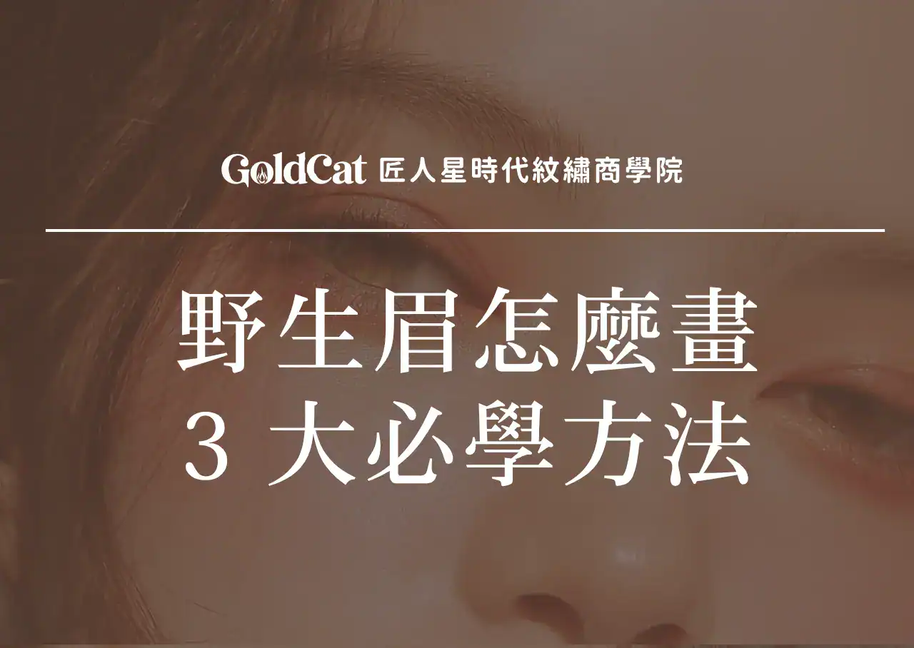野生眉怎麼畫