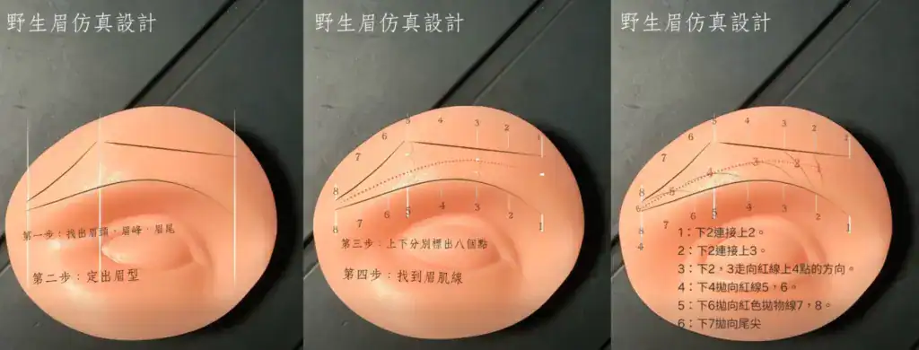 野生眉設計步驟